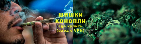 соль ск Дмитриев