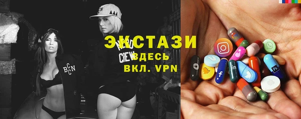 соль ск Дмитриев