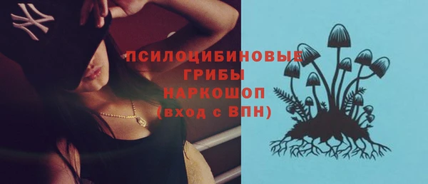 соль ск Дмитриев
