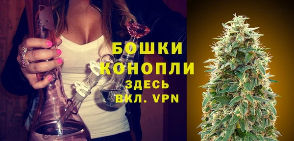 apvp Няндома