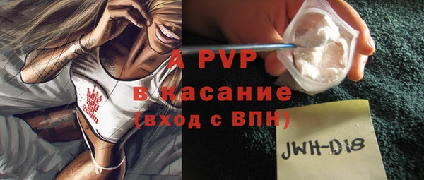 соль ск Дмитриев