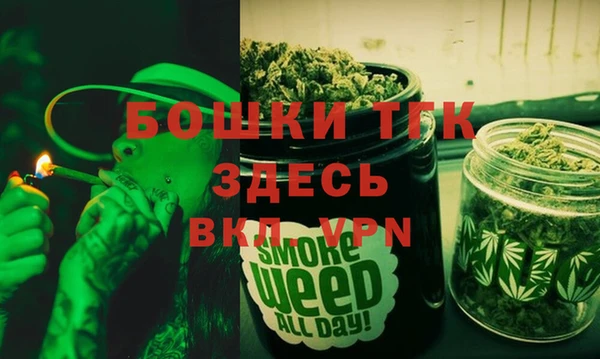 соль ск Дмитриев