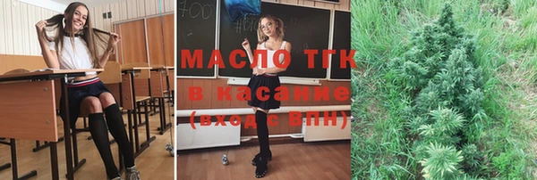 тгк Дмитров