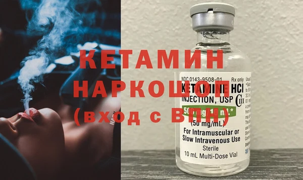 соль ск Дмитриев