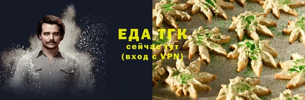 соль ск Дмитриев