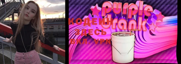 тгк Дмитров