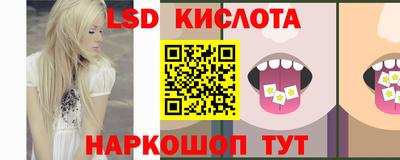 дмт Краснодар