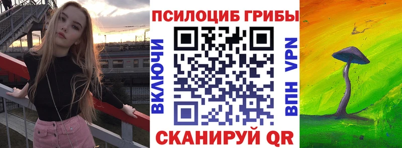 магазин продажи   Междуреченск  Псилоцибиновые грибы Magic Shrooms 