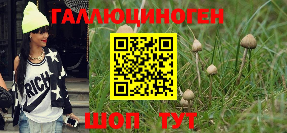 Галлюциногенные грибы GOLDEN TEACHER Междуреченск