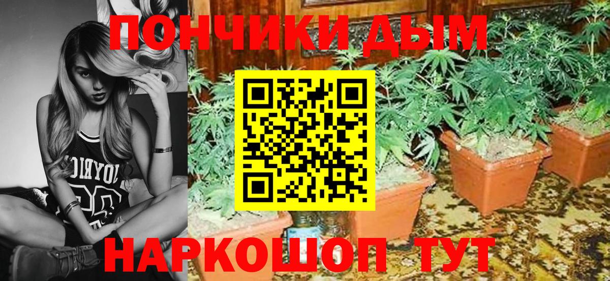 МАРИХУАНА план  Каннабис сатива  Междуреченск  Каннабис Bruce Banner 